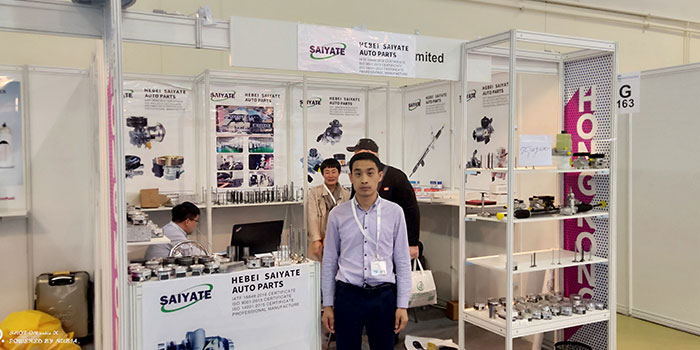 Participate in exhibitions