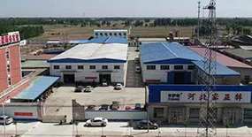Company Factory